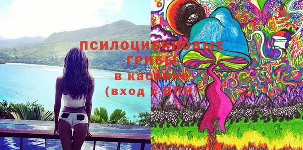 PSILOCYBIN Краснотурьинск