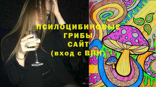 PSILOCYBIN Краснотурьинск