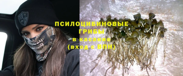 ECSTASY Краснослободск