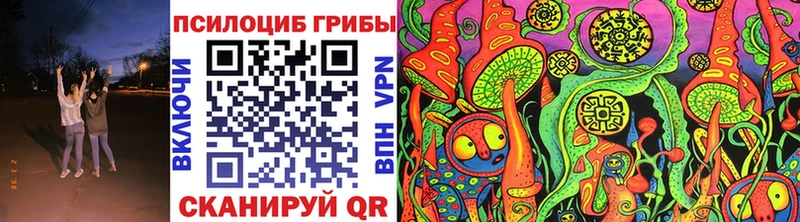 Псилоцибиновые грибы Cubensis  Купить где  Медвежьегорск 